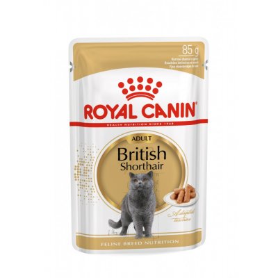 Royal Canin British Shorthair Adult 24 x 85 g – Zboží Mobilmania