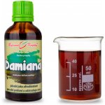 Bylinné kapky Damiana 50 ml – Hledejceny.cz