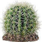 Hobby Kaktus Sonora M 15x15x13 cm – Zboží Dáma