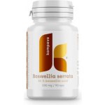 Kompava Boswellia serrata 305mg 90 kapslí – Hledejceny.cz