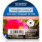 Yankee Candle Tropical Breeze Vosk do aromalampy 22 g – Zboží Dáma