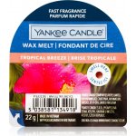 Yankee Candle Tropical Breeze Vosk do aromalampy 22 g – Hledejceny.cz