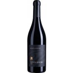 Kozlovic Santa Lucia Noir 2017 Červené 15% 0,75 l (holá láhev) – Hledejceny.cz