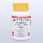 Sinecura WBO2.9-1909 shengmai san 60 tablet – Hledejceny.cz
