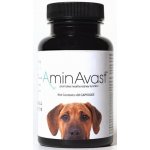 M+H VET AminAvast dog 60 tbl – Hledejceny.cz