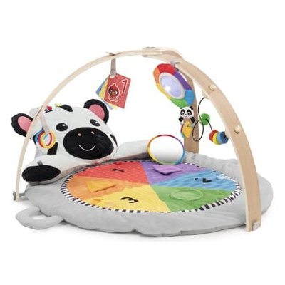 Baby Einstein Zen's Play Mat Activity Mile stone s – Zbozi.Blesk.cz