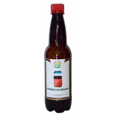 Salvia Paradise Kombucha násada 10 x 300 ml – Hledejceny.cz