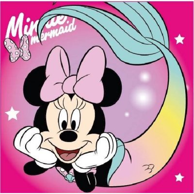 Javoli polštář Disney Minnie 40x40 II – Zbozi.Blesk.cz