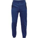 Cerva pánské tepláky CREMORNE 0336000141 navy – Hledejceny.cz
