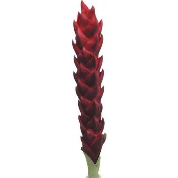 Umělá květina Stardeco WLG303213 červená