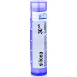 SILICEA POR 30CH GRA 4G – Hledejceny.cz