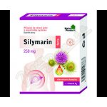 Silymarin Forte 250 mg mikronizovaný ostropestřec s vit D3 40 tablet – Hledejceny.cz