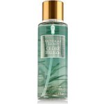 Victoria's Secret Cedar Breeze tělový sprej 250 ml – Zboží Dáma