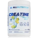 All Nutrition CREATINE Muscle Max 500 g – Hledejceny.cz