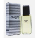Antonio Puig Quorum Silver toaletní voda pánská 100 ml – Hledejceny.cz