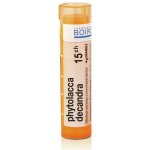 PHYTOLACCA DECANDRA POR 15CH GRA 4G – Hledejceny.cz