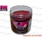 LK Baits boilies Paste 250g Spice Shrimp – Zbozi.Blesk.cz