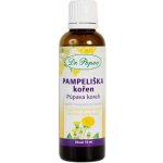 Dr. Popov Pampeliška kořen originální bylinné kapky 50 ml – Hledejceny.cz