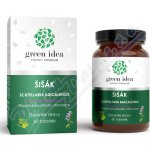 Green idea Šišák Bajkalský bylinné 60 tablet – Hledejceny.cz
