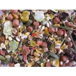 Deli Nature Premium Guinea Pigs 800 g – Zboží Mobilmania