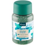 Kneipp sůl do koupele Goodbye Stress 500 g – Zboží Dáma