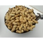 Krmné směsi Kvídera Podzemnice olejná burák neloupaný 1 Kg – Zbozi.Blesk.cz