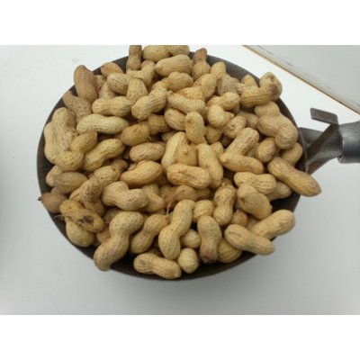 Krmné směsi Kvídera Podzemnice olejná burák neloupaný 1 Kg – Zbozi.Blesk.cz