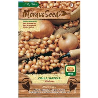 Žlutá cibule sazečka Všetana, MoravoSeed, 150 g – Zboží Mobilmania