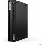 Lenovo ThinkCentre M75q 12RQ0016CK – Zboží Živě
