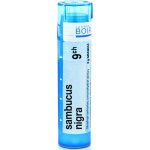 SAMBUCUS NIGRA POR 9CH GRA 4G – Hledejceny.cz