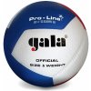 Volejbalový míč Gala Pro-line V5595S