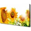 Obraz Obraz na plátně Slunečnice Květ Rostlina 100x50 cm