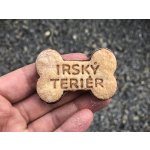 TVOŘÍTKO Irský teriér - kostička – Hledejceny.cz
