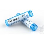 RHUS TOXICODENDRON POR 9CH GRA 4G – Hledejceny.cz