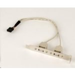 Záslepka s 2x USB 2.0 porty - zadní do case CCUSBRECEPTACLE – Zboží Živě