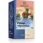 Sonnentor Pěkné odpoledne bylinný čaj BIO porcovaný 18 x 1,5 g – Zbozi.Blesk.cz
