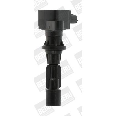 Zapalovací cívka BorgWarner (BERU) ZS488 – Hledejceny.cz
