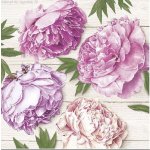 Ubrousek 33x33 cm PIVOŇKY 20ks – Hledejceny.cz