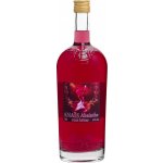 Bairnsfather Rose Bitter Absinth 55% 1 L (holá láhev) – Zboží Dáma