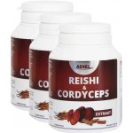 Adiel Reishi & Cordyceps 3 x 90 kapslí – Hledejceny.cz