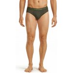 Icebreaker pánské slipy Mens Anatomica Briefs Loden – Sleviste.cz