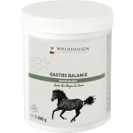 WALDHAUSEN Doplněk pro koně Gastro Balance 1 kg – Hledejceny.cz