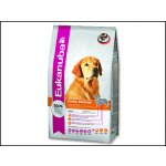 Eukanuba Golden Retriever 2,5 kg – Hledejceny.cz