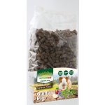 Nature LAND Krmivo Complete Morče MONO 1,7 kg – Zboží Dáma