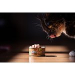 Marp Holistic Plus kuřecí paté s hovězími kousky 70 g – Hledejceny.cz