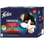 Felix Fantastic Lahodný výběr v želé 24 x 85 g – Hledejceny.cz