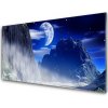 Obraz akrylový obraz Hory Noc Krajina 100x50 cm