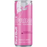 Red Bull The Spring Edition Waldbeere Sugarfree 250 ml – Hledejceny.cz