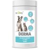 Vitamíny pro psa Dromy Derma 120 tbl