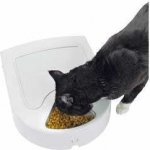 PetSafe Eatwell 5 Meal Digitální krmítko – Sleviste.cz